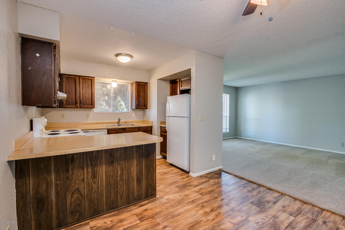 123 E Juniper St, Mesa, AZ 85201 photo 8