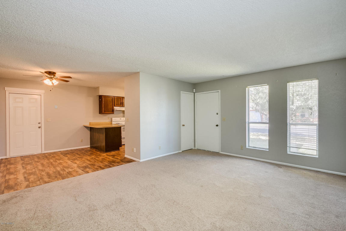 123 E Juniper St, Mesa, AZ 85201 photo 10