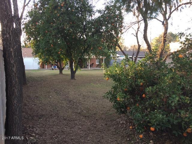 6325 N 8th Ave, Phoenix, AZ 85013 photo 29
