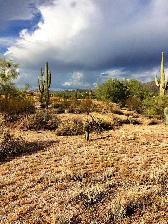 8056 E Mcdowell Rd, Mesa, AZ 85207 photo 39