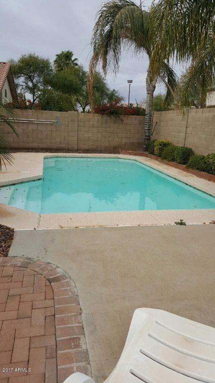 1796 E Toledo St, Gilbert, AZ 85295 photo 4