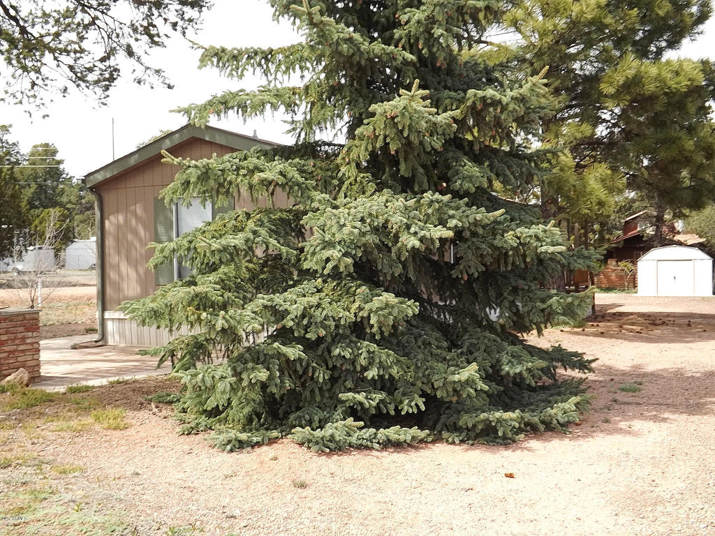 2126 Cottontail Rd, Overgaard, AZ 85933 photo 2