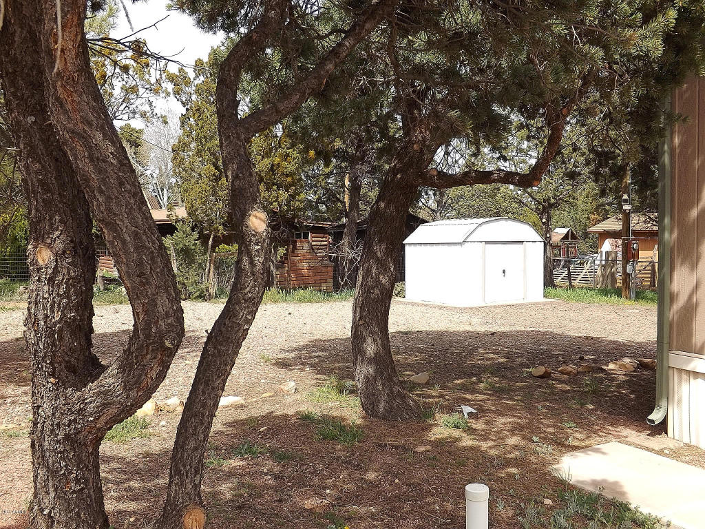 2126 Cottontail Rd, Overgaard, AZ 85933 photo 9