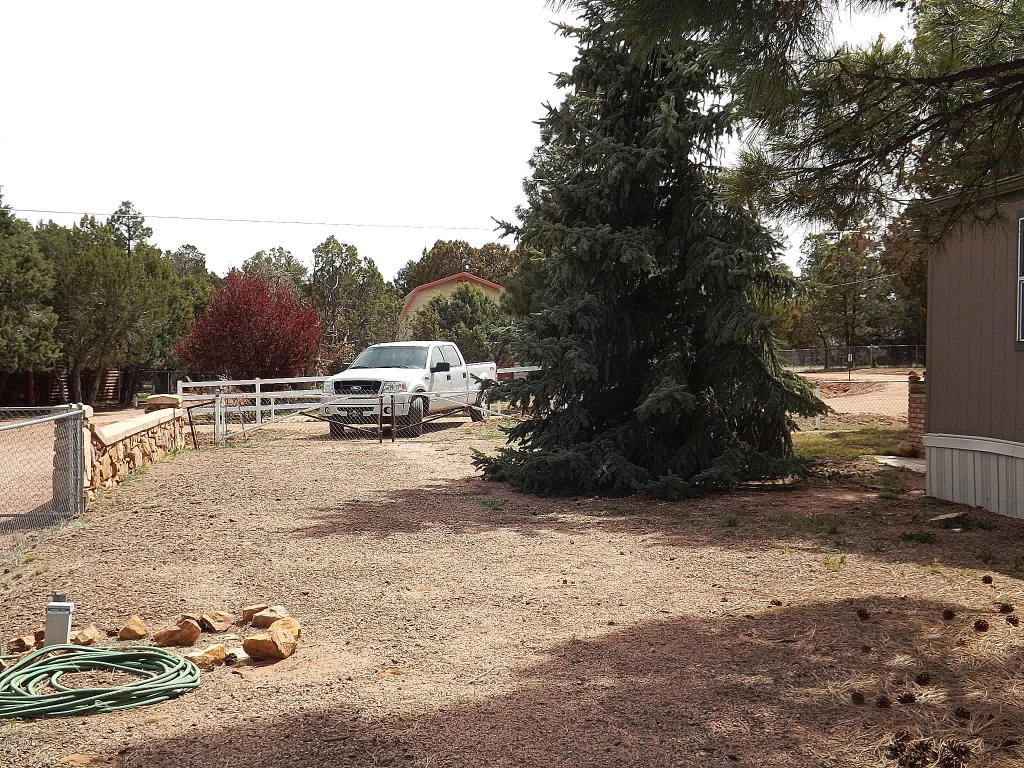 2126 Cottontail Rd, Overgaard, AZ 85933 photo 14