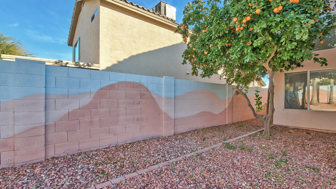 3934 E Wescott Dr, Phoenix, AZ 85050 photo 32