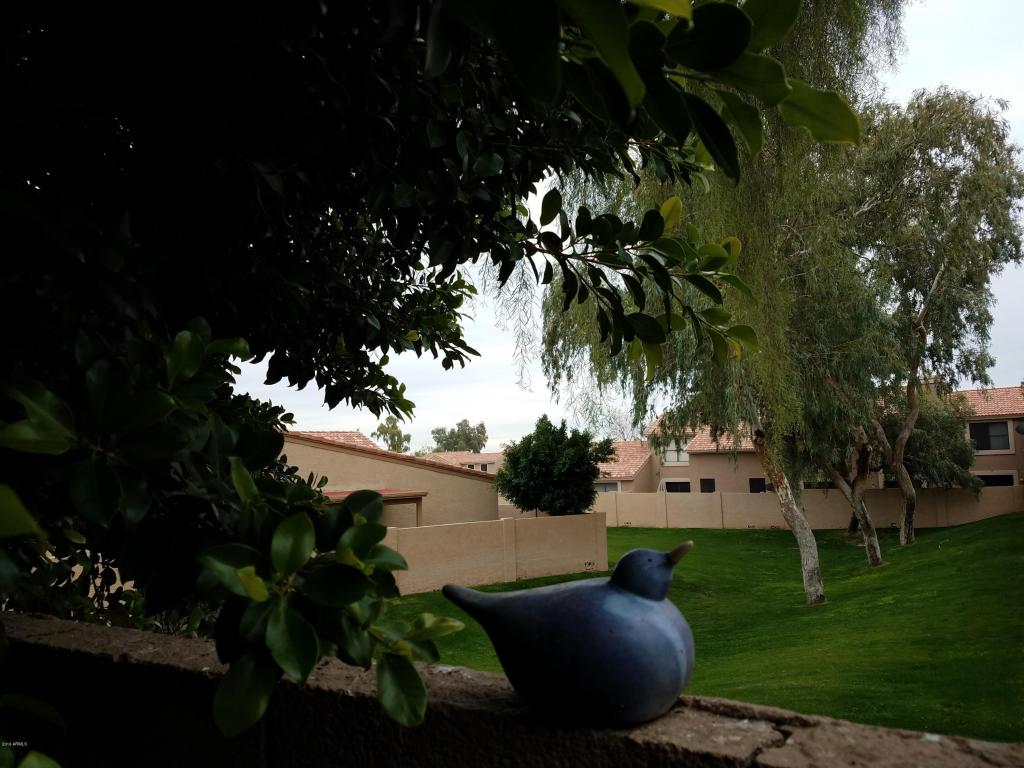 4123 E Agave Rd, Phoenix, AZ 85044 photo 46