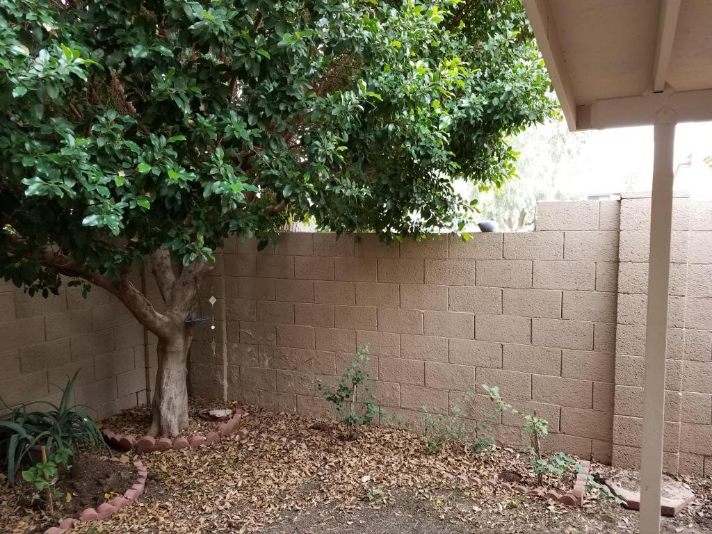 4123 E Agave Rd, Phoenix, AZ 85044 photo 43