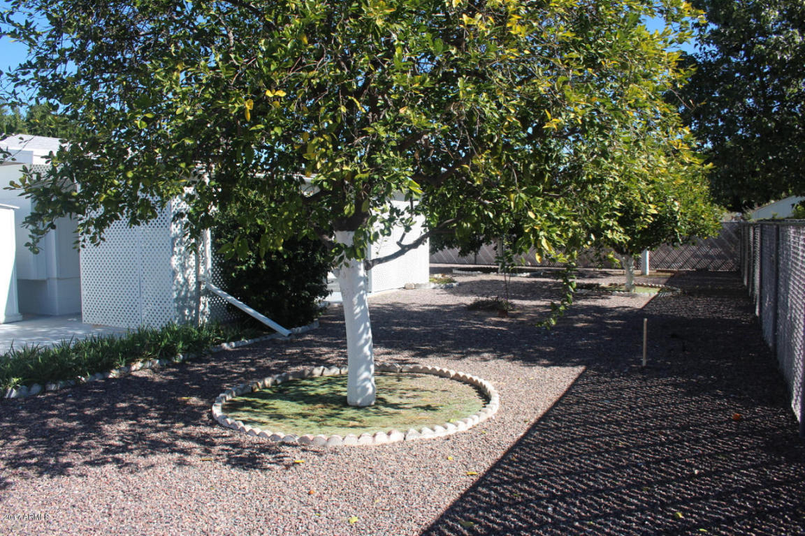 5657 E Dallas St, Mesa, AZ 85205 photo 2