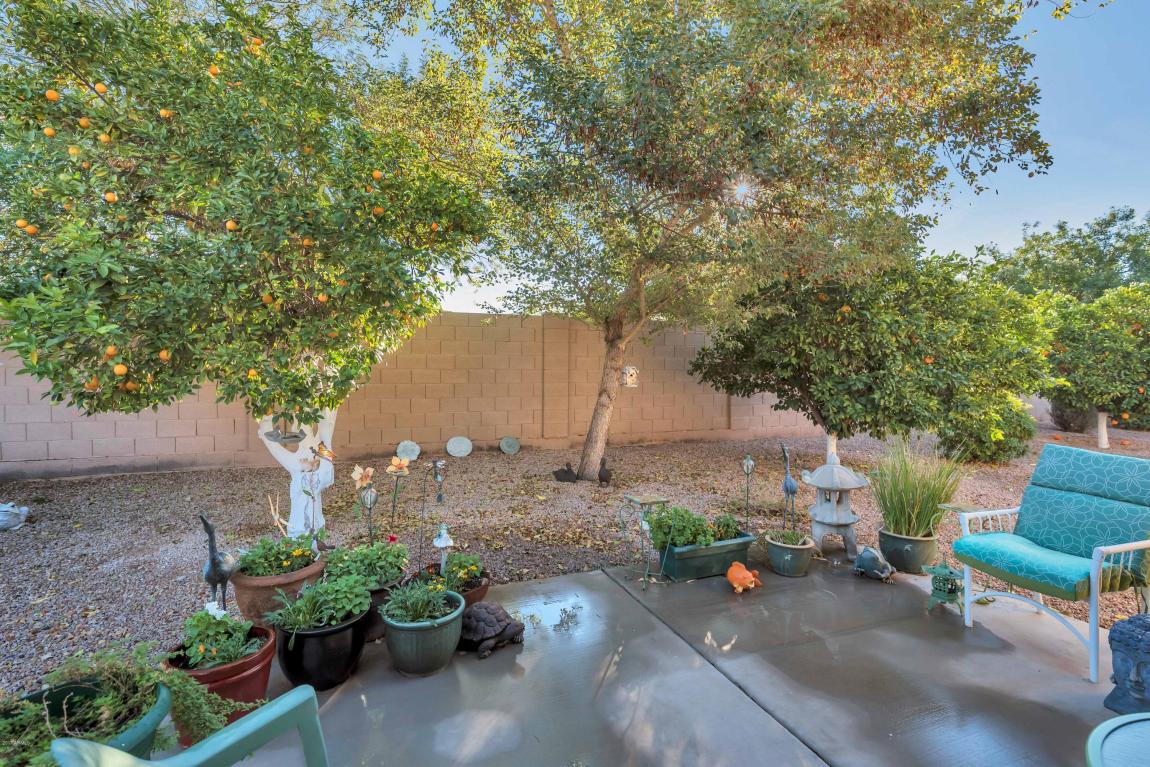 4202 E Broadway Rd #29, Mesa, AZ 85206 photo 30