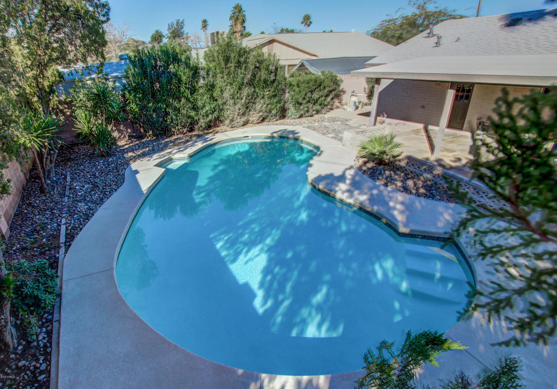 3009 E Cholla St, Phoenix, AZ 85028 photo 28