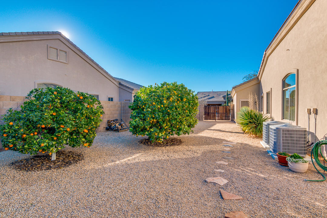 9506 E Nora Cir, Mesa, AZ 85207 photo 38
