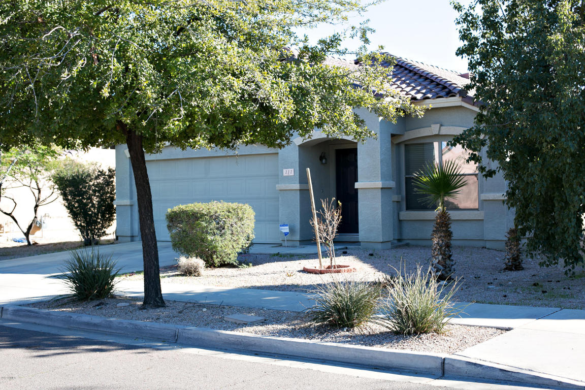 111 E Beth Dr, Phoenix, AZ 85042 photo 2