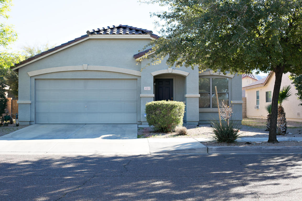 111 E Beth Dr, Phoenix, AZ 85042 photo 3