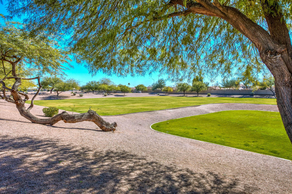 8233 E Naranja Ave, Mesa, AZ 85209 photo 32