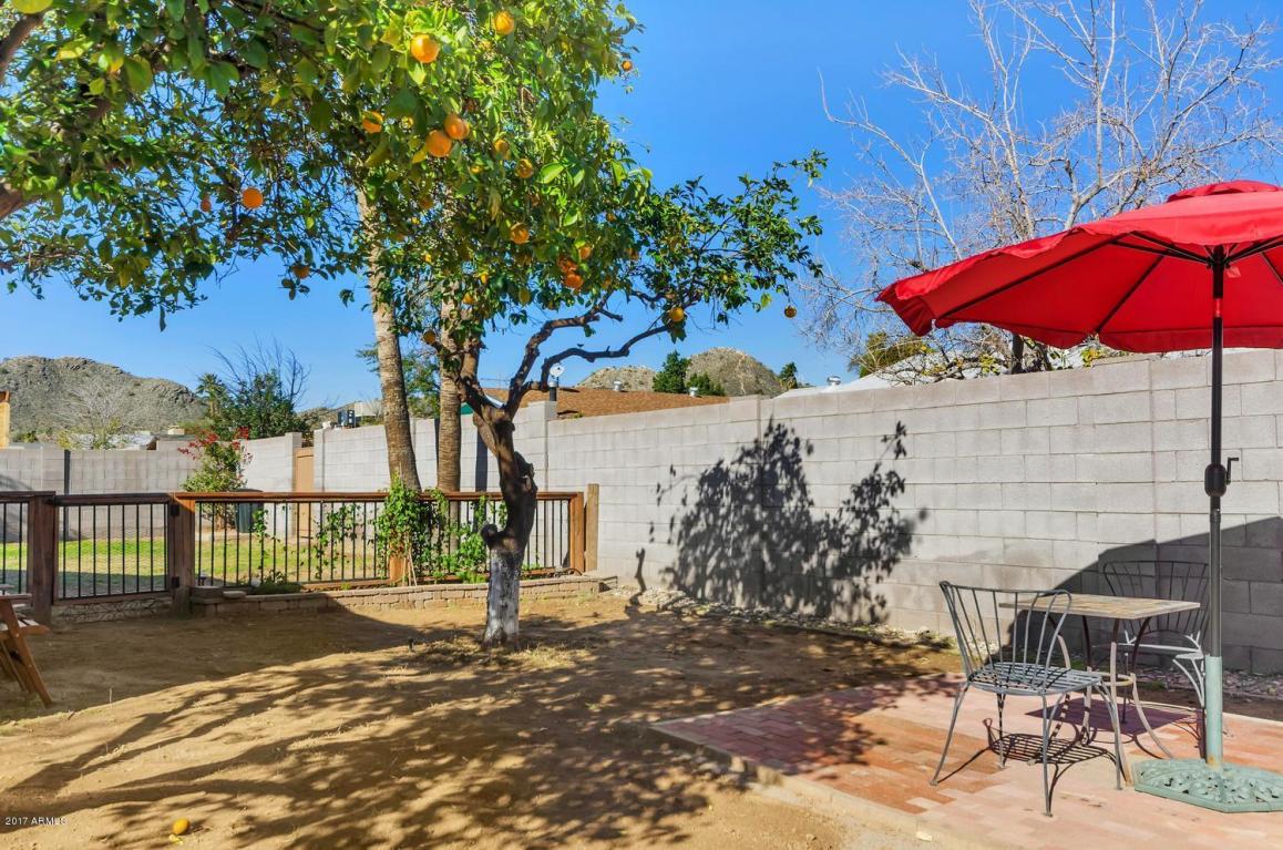 2924 E Pershing Ave, Phoenix, AZ 85032 photo 22