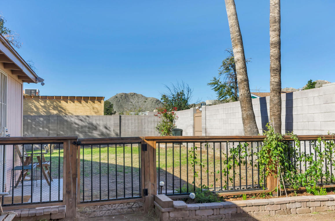2924 E Pershing Ave, Phoenix, AZ 85032 photo 23