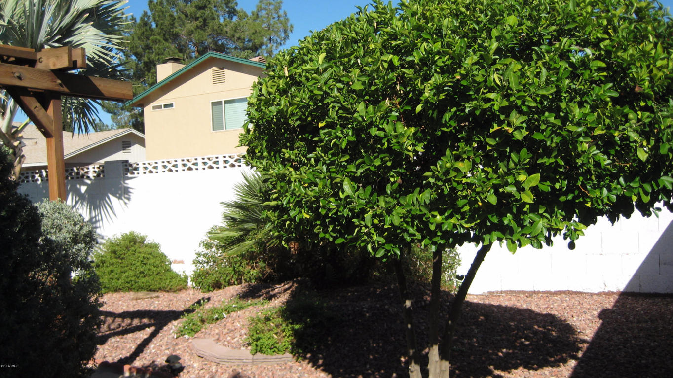 2402 W Hearn Rd, Phoenix, AZ 85023 photo 47