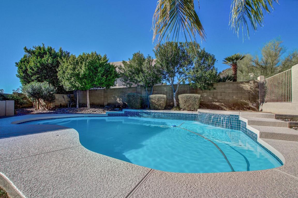 954 E Mountain Sky Ave, Phoenix, AZ 85048 photo 44