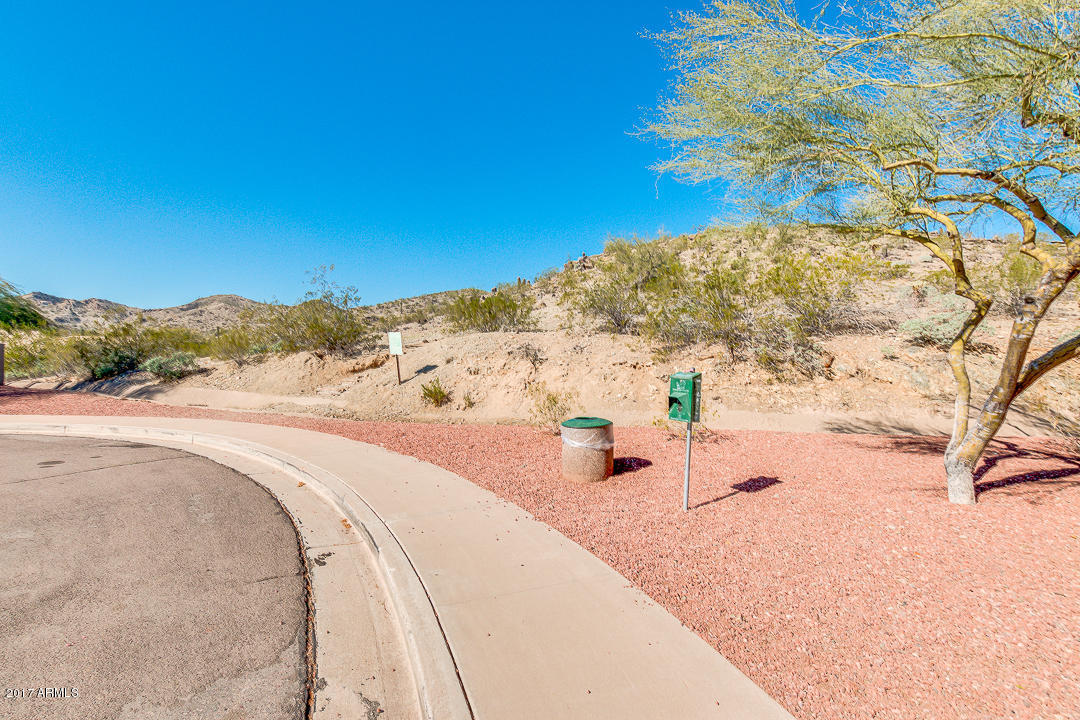 2521 E Indigo Brush Rd, Phoenix, AZ 85048 photo 41