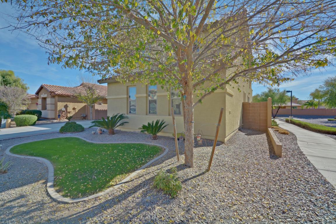 703 E Hummingbird Way, Gilbert, AZ 85297 photo 3
