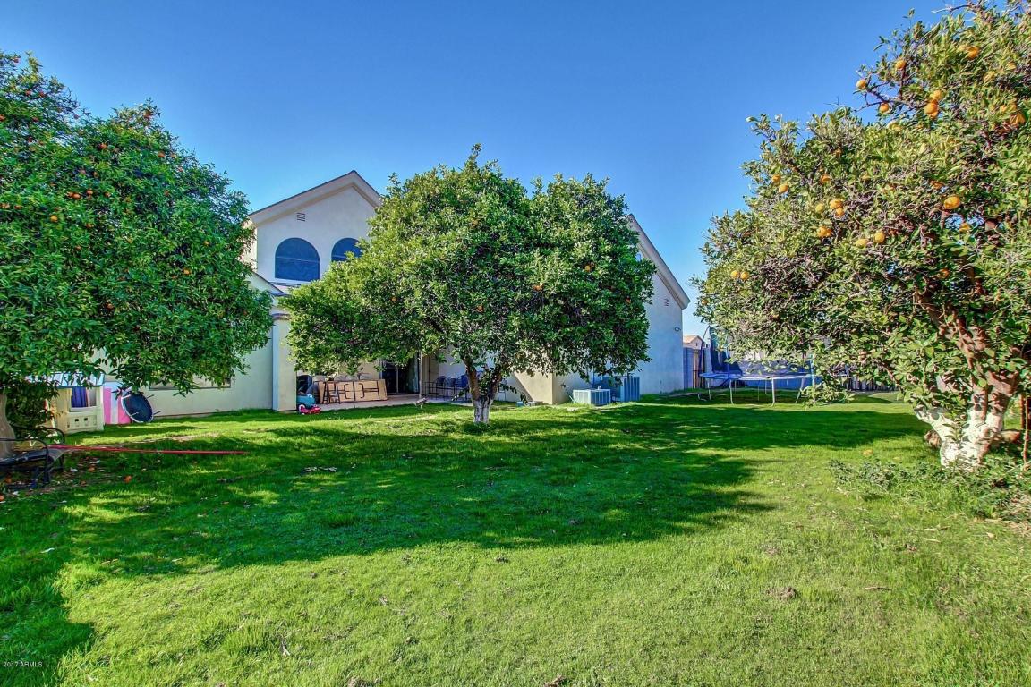 841 N Ashbrook --, Mesa, AZ 85213 photo 53