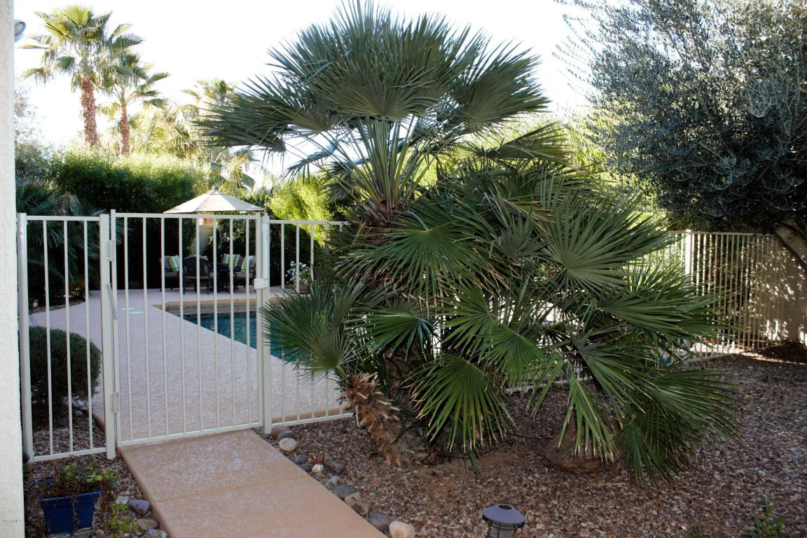4252 E Dubois Ct, Gilbert, AZ 85298 photo 34