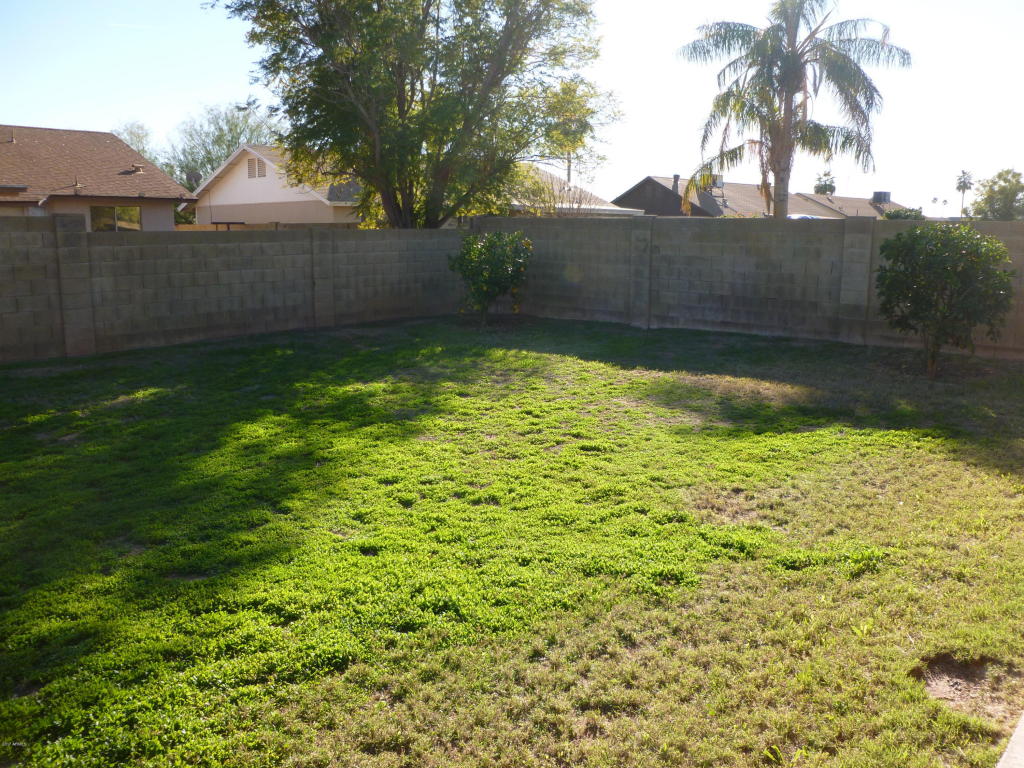 2433 E Capri Ave, Mesa, AZ 85204 photo 6