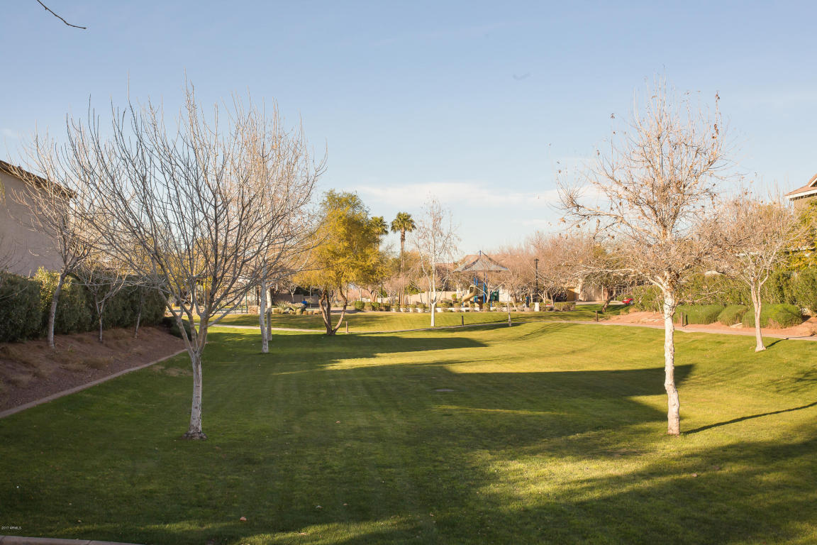 2250 E Wayland Dr, Phoenix, AZ 85040 photo 22
