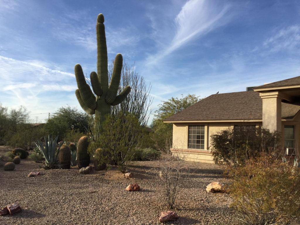 10630 E Fenimore Rd, Mesa, AZ 85207 photo 23