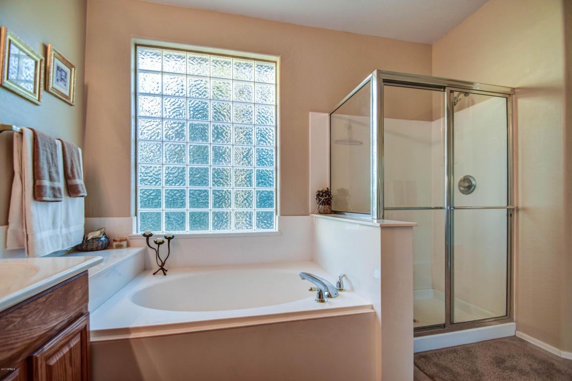 9748 E Navarro Ave, Mesa, AZ 85209 photo 22