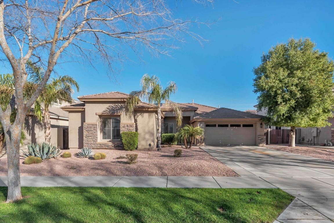 3566 E Page Ct, Gilbert, AZ 85234 photo 1