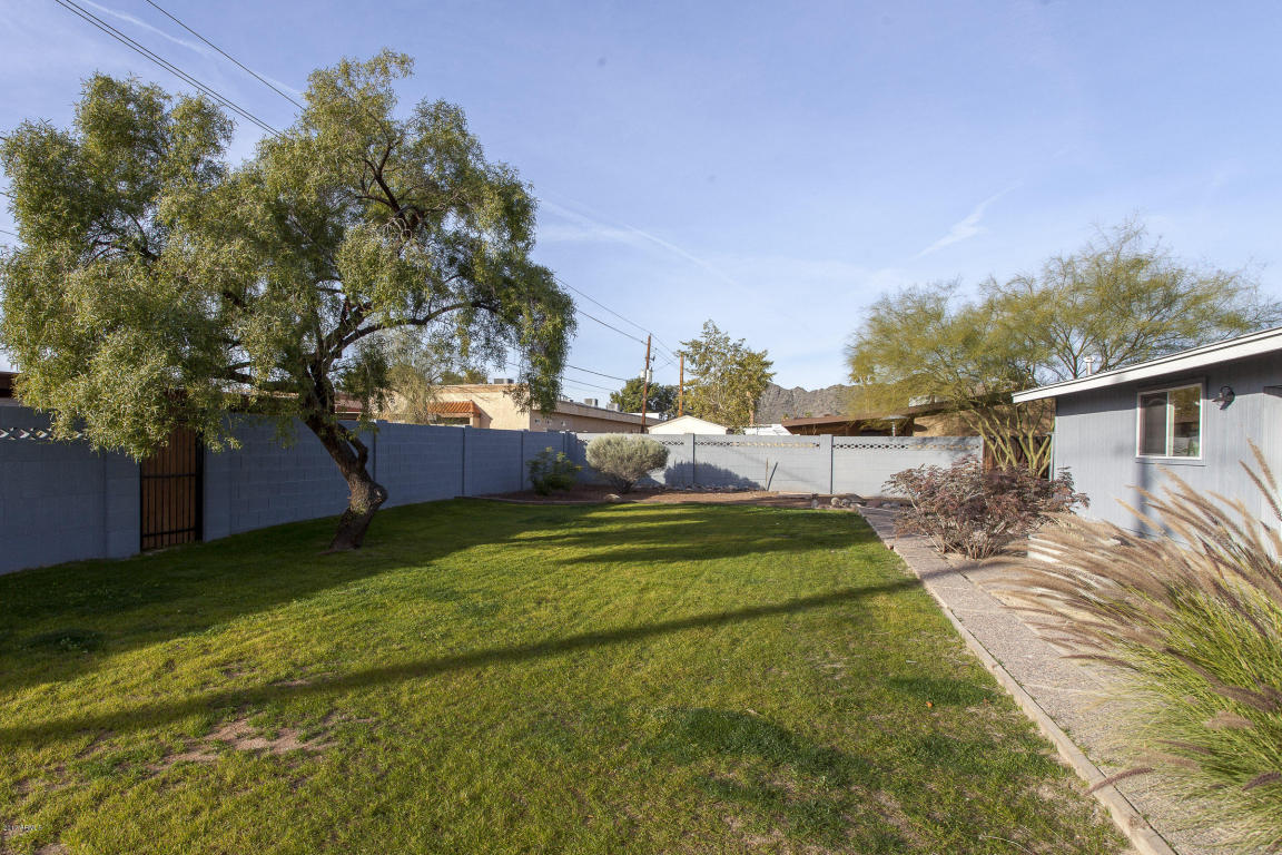 2909 E Turquoise Dr, Phoenix, AZ 85028 photo 6