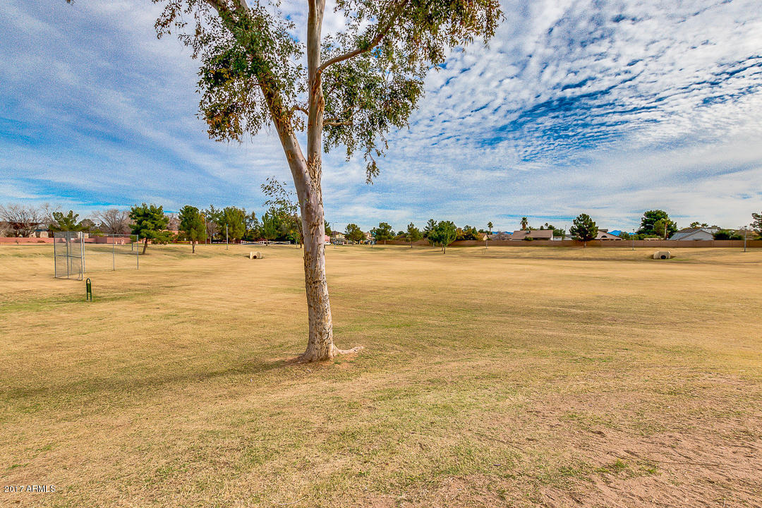 2854 E Lockwood St, Mesa, AZ 85213 photo 60
