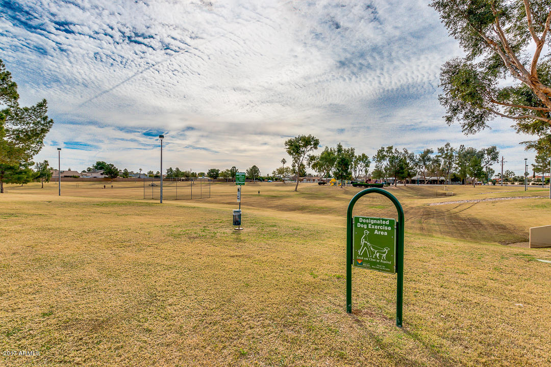 2854 E Lockwood St, Mesa, AZ 85213 photo 52