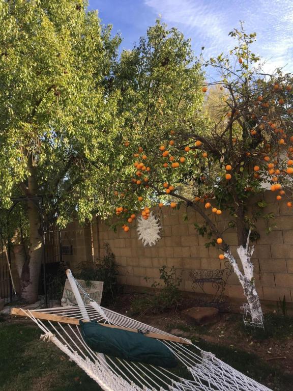 3755 E Broadway Rd #105, Mesa, AZ 85206 photo 12