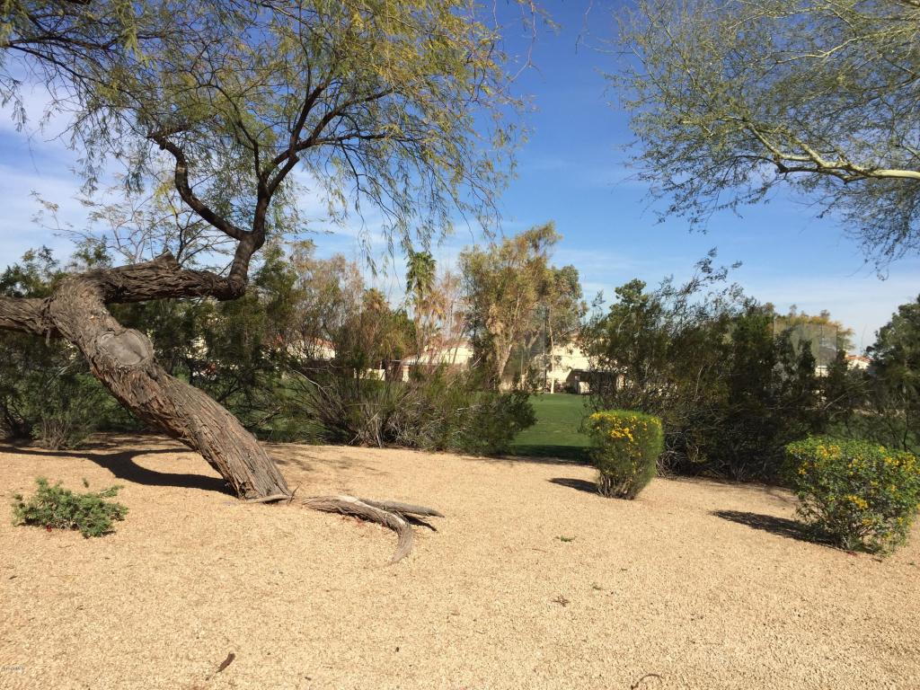 4932 E Monte Way, Phoenix, AZ 85044 photo 52