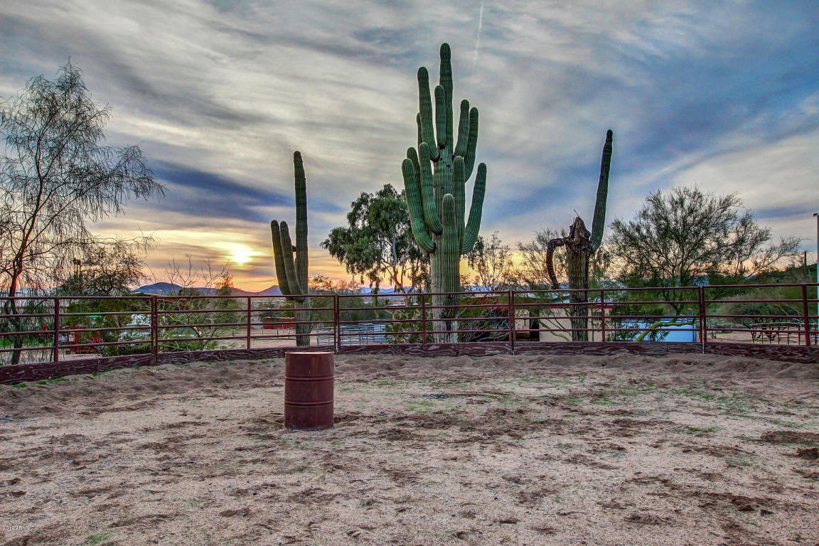 1112 E Saddle Mountain Rd, Phoenix, AZ 85086 photo 7
