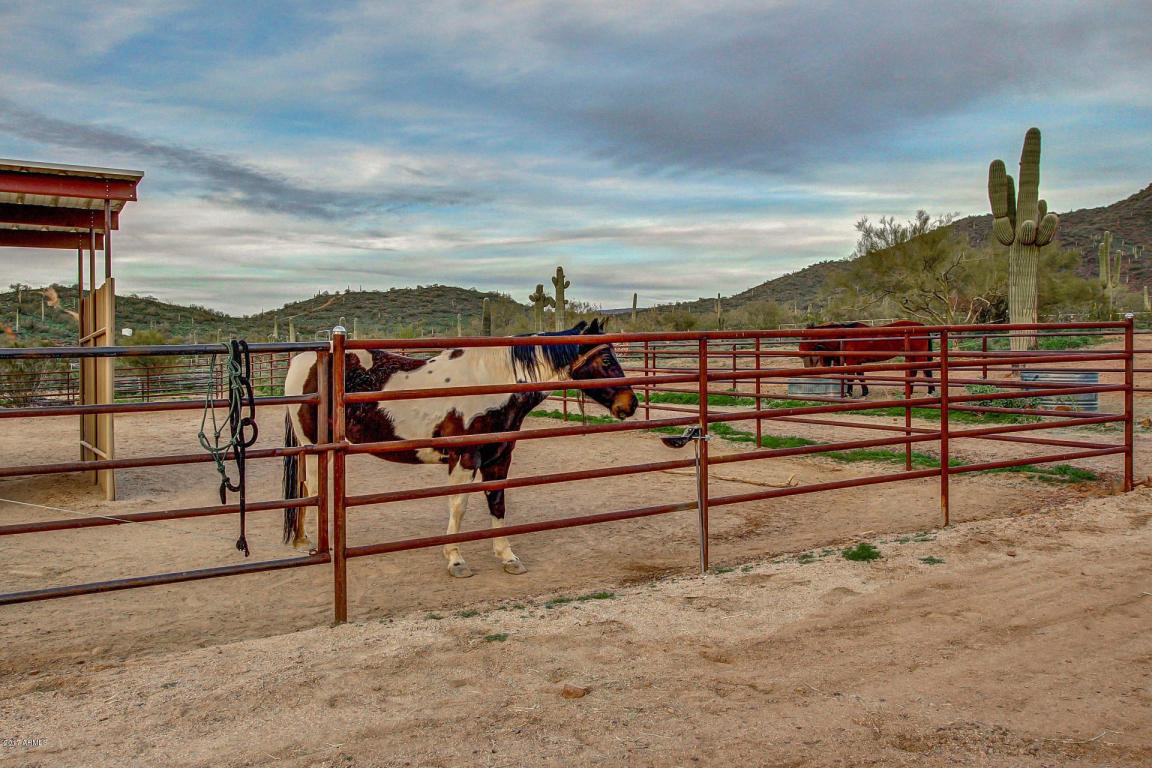 1112 E Saddle Mountain Rd, Phoenix, AZ 85086 photo 6