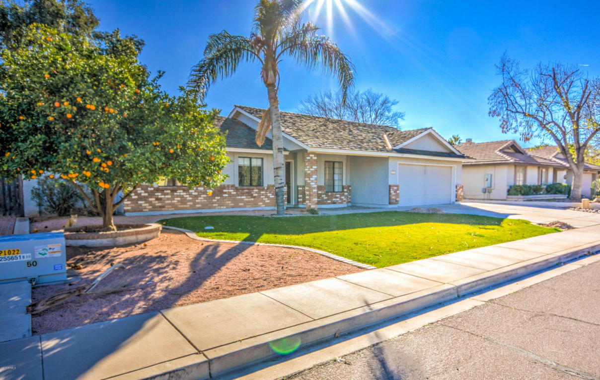 461 E San Pedro Ave, Gilbert, AZ 85234 photo 3