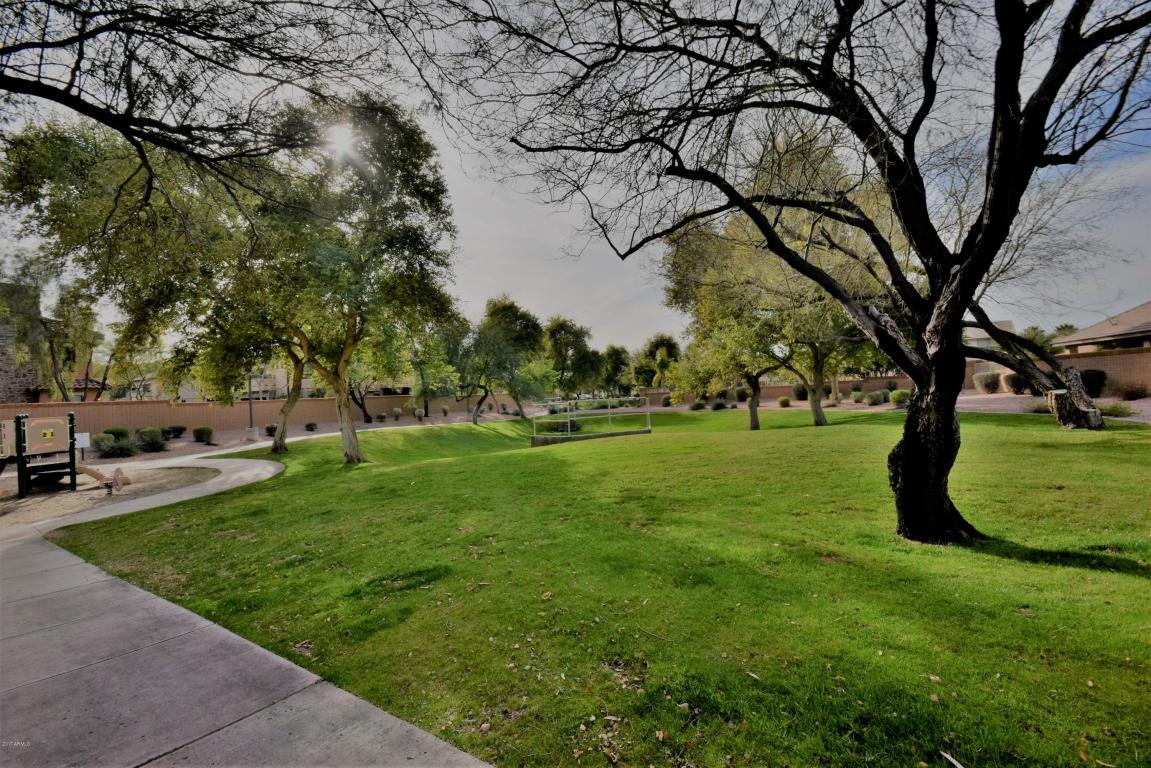 3955 E Potter Dr, Phoenix, AZ 85050 photo 47