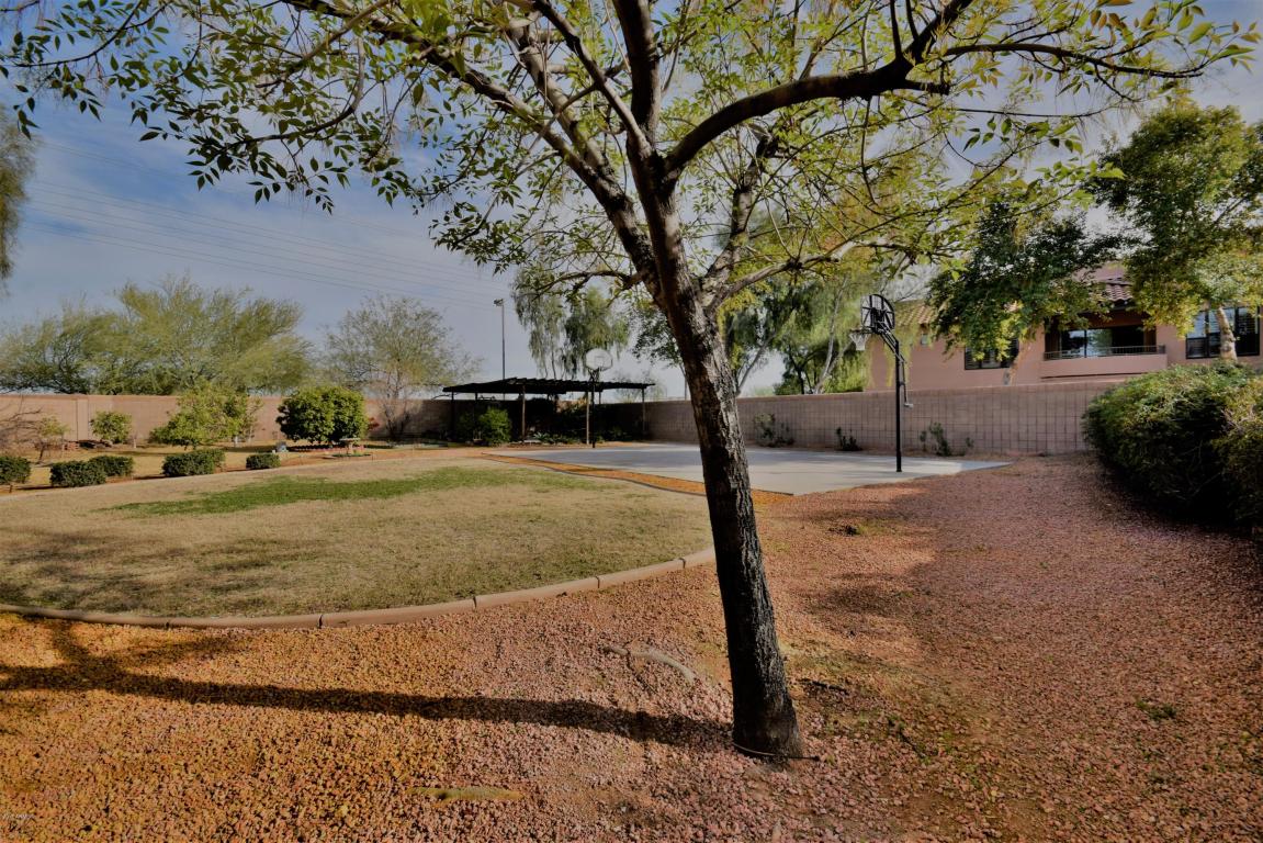 3955 E Potter Dr, Phoenix, AZ 85050 photo 39