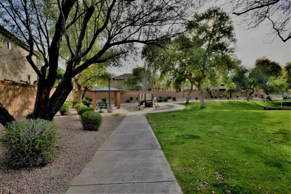 3955 E Potter Dr, Phoenix, AZ 85050 photo 46