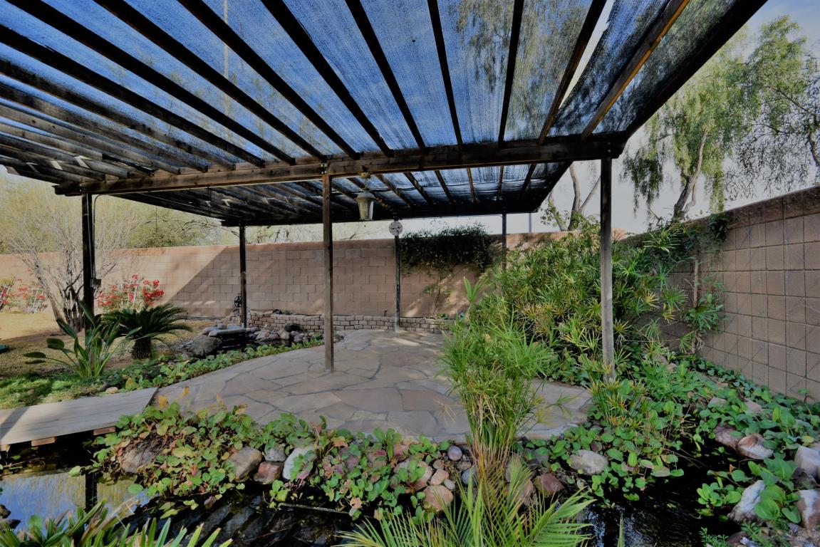 3955 E Potter Dr, Phoenix, AZ 85050 photo 36