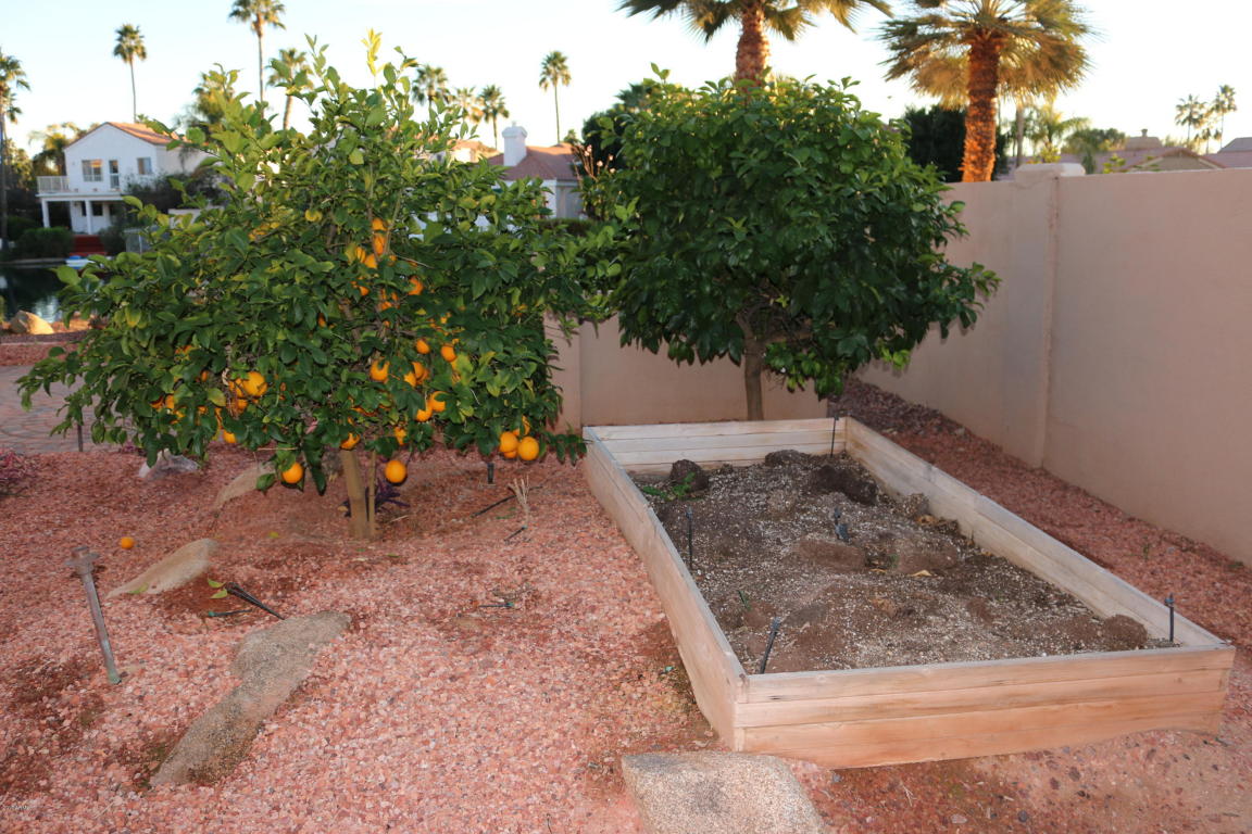 1425 W Silver Keys Ct, Gilbert, AZ 85233 photo 17