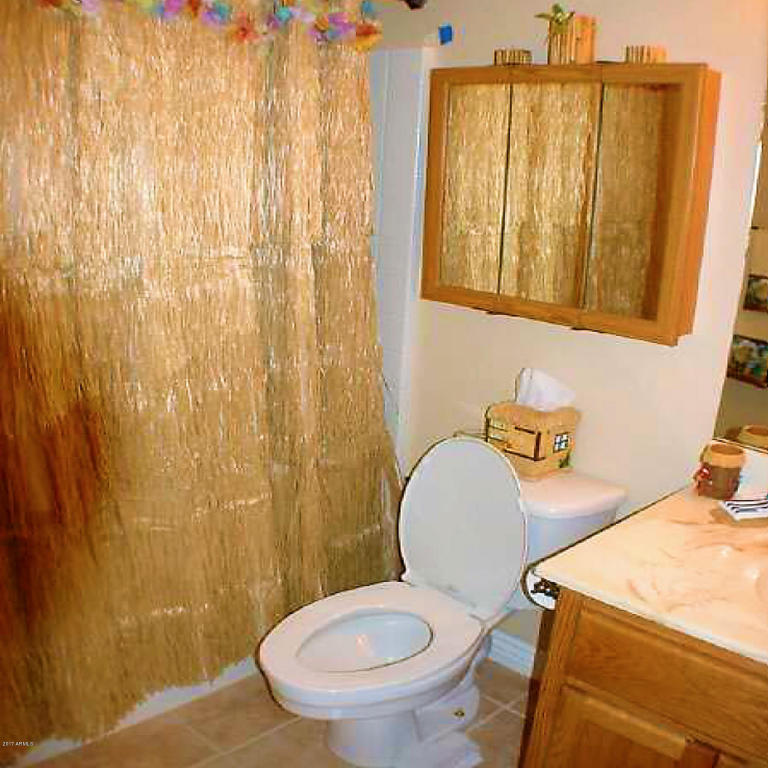 1815 S San Marcos Dr, Apache Junction, AZ 85120 photo 11