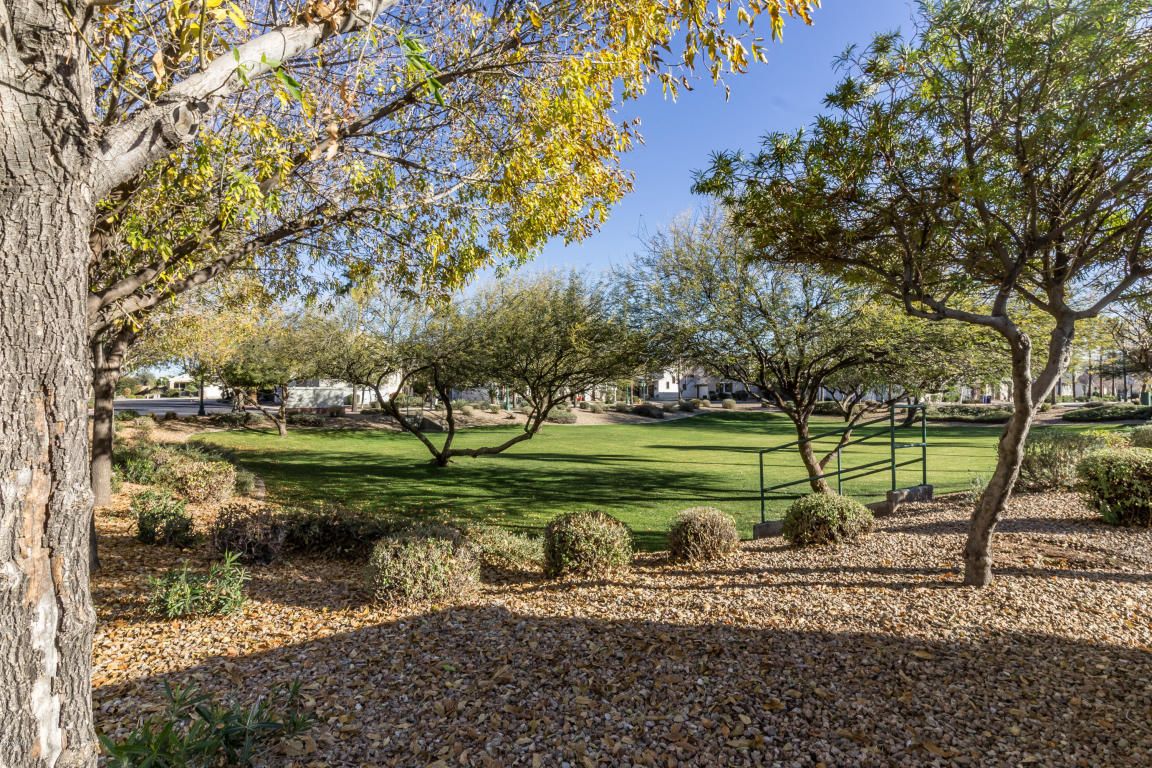 8705 E Kilarea Ave, Mesa, AZ 85209 photo 44