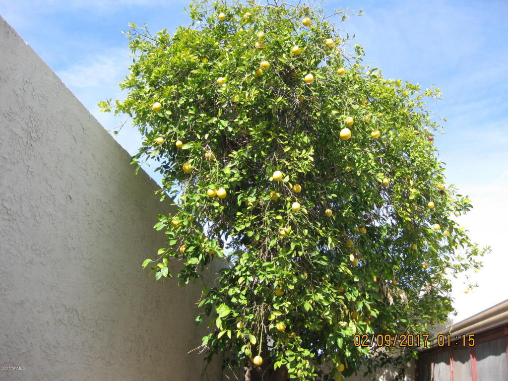 5266 S Deborah Dr S, Tempe, AZ 85283 photo 6