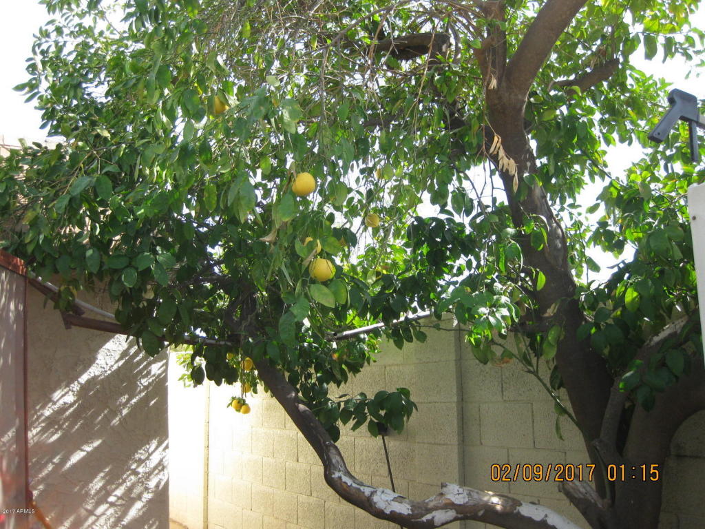 5266 S Deborah Dr S, Tempe, AZ 85283 photo 7