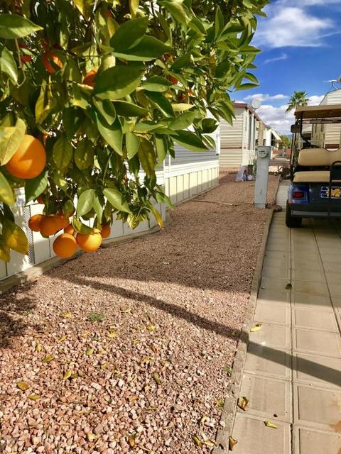 7750 E Broadway Rd #98, Mesa, AZ 85208 photo 22
