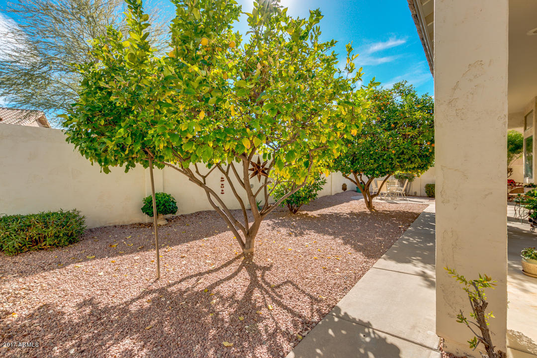 6461 E Star Valley St, Mesa, AZ 85215 photo 30